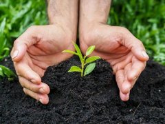 农业种植离不开土壤养分快速检测仪