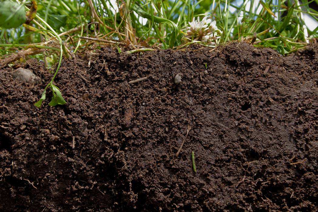 高智能全项目土壤肥料养分检测仪的使用意义有