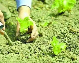 土壤养分速测仪