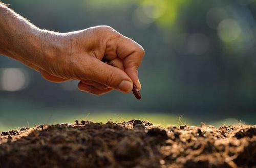 土壤养分快速检测仪